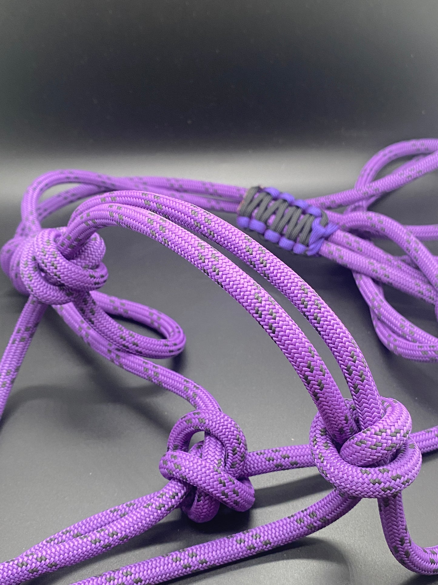 Licol rigide 8mm