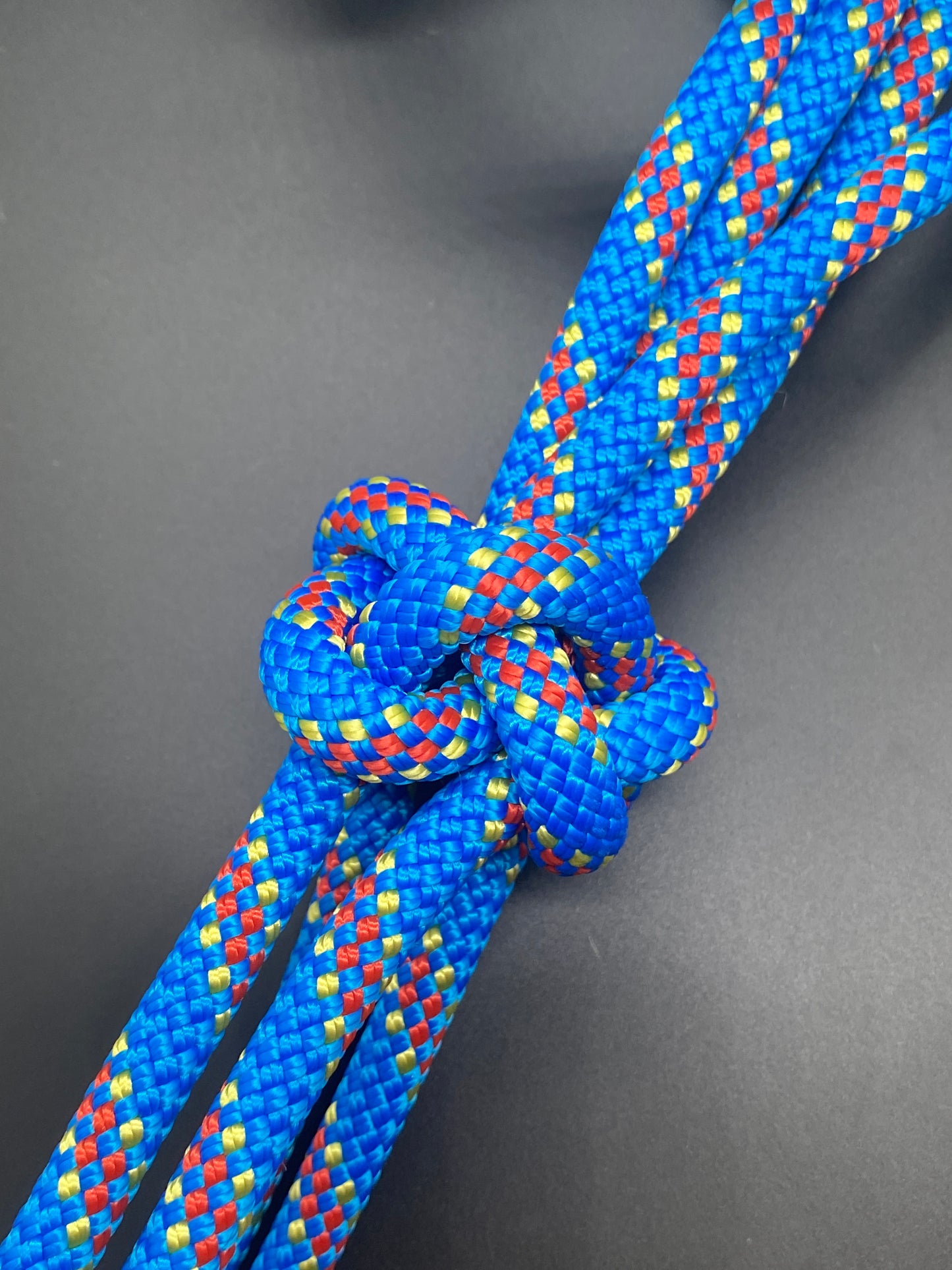 Licol rigide 8mm
