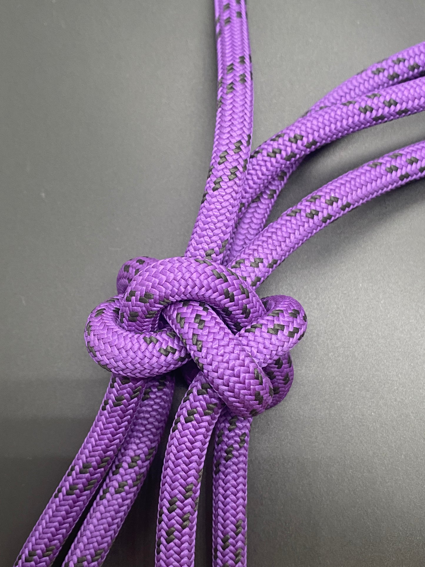 Licol rigide 8mm