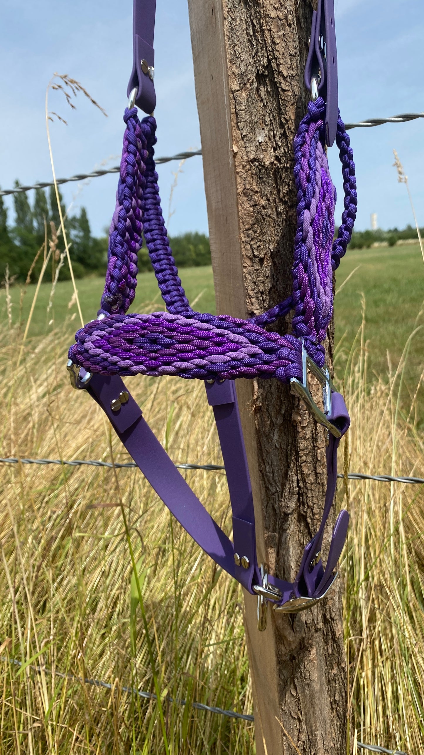 Licol plat tressé montant biothane
