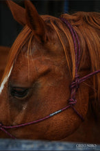 Charger l&#39;image dans la galerie, Licol corde rigide - Collection Horseman

